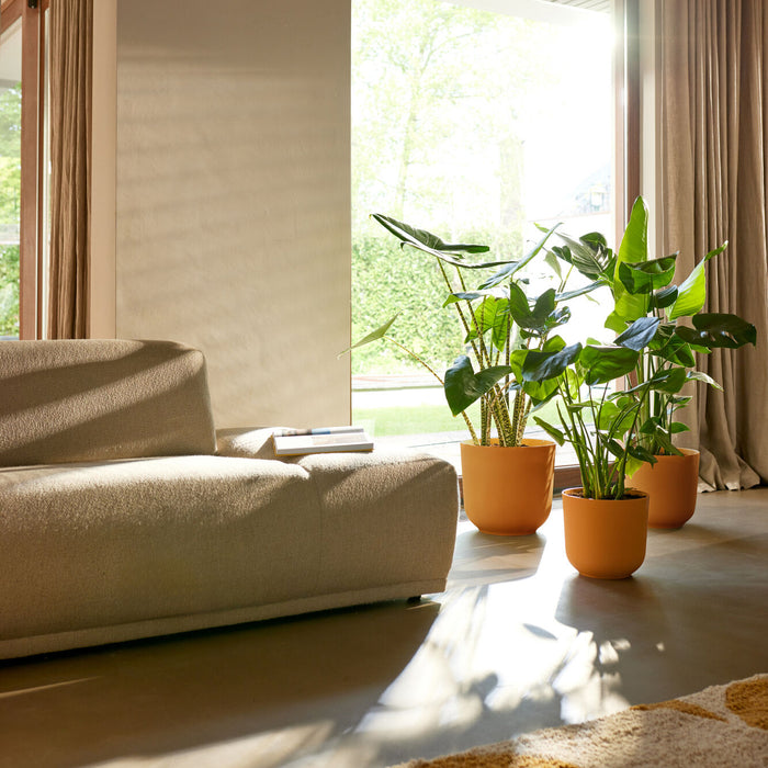 327574-x01-202412260521-A.jpg (9746899)