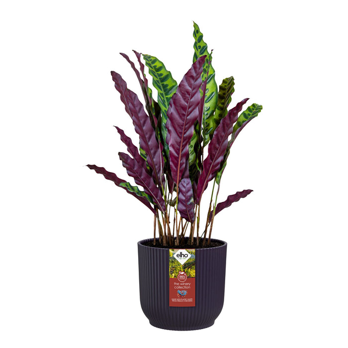 327576-x03-202412260522-C.jpg (9746910)