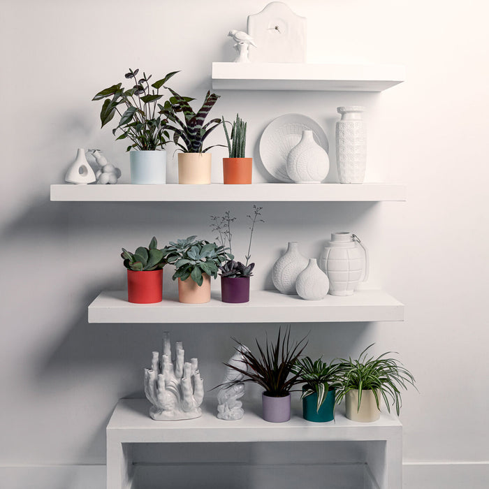 327579-x02-202412260522-A.jpg (9746920)