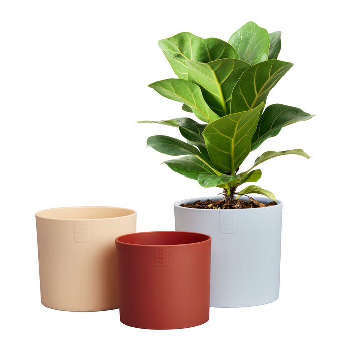 327579-x03-202412260521-C.jpg (9746921)