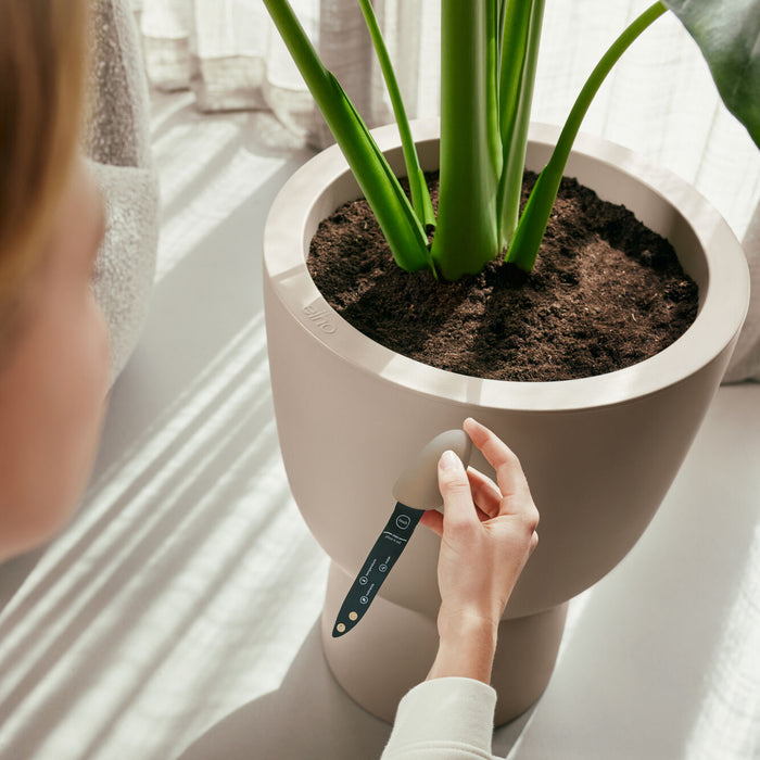 327582-x03-202412260522-A.jpg (9746931)