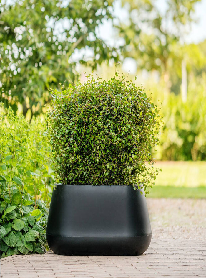 Elho Pure Cone Long Wheels 75 - Zwart - L 74 x B x H 36 cm - Binnen en Buiten - 100% gerecycled