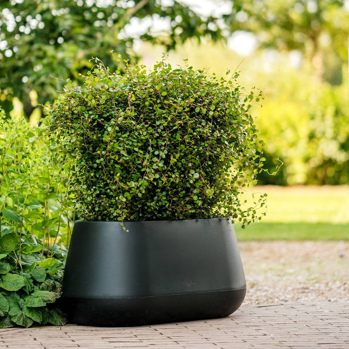 Elho Pure Cone Long Wheels 75 - Zwart - L 74 x B x H 36 cm - Binnen en Buiten - 100% gerecycled