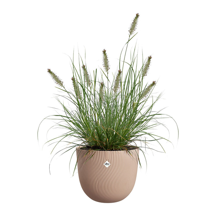 327670-x03-202412311122-C.jpg (9756153)