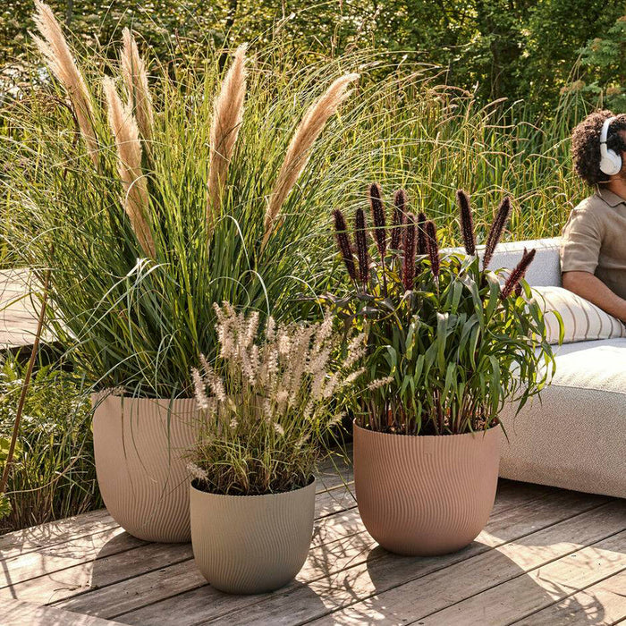 327671-x02-202412311122-A.jpg (9756162)