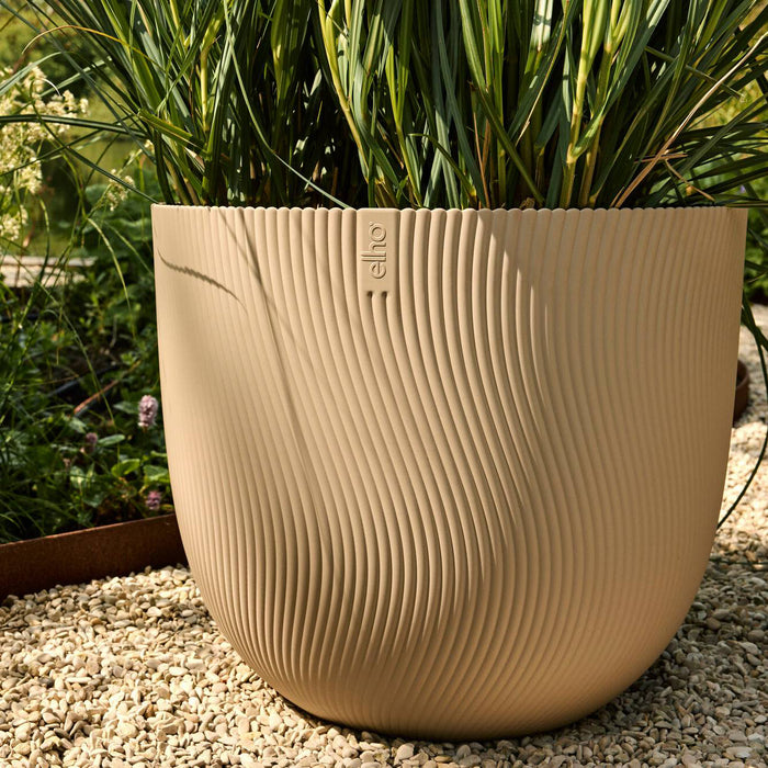 327675-x01-202412311122-A.jpg (9756199)