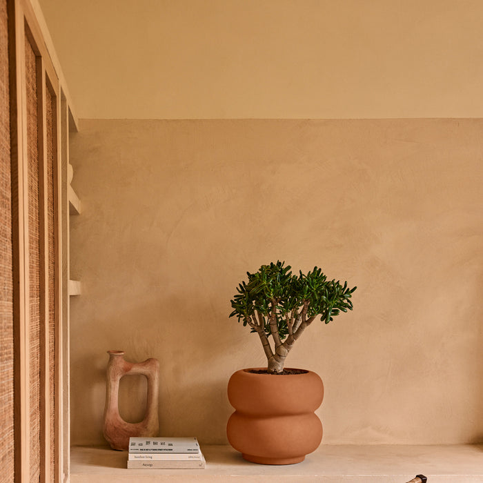 327618-x01-202501032021-A.jpg (9770322)