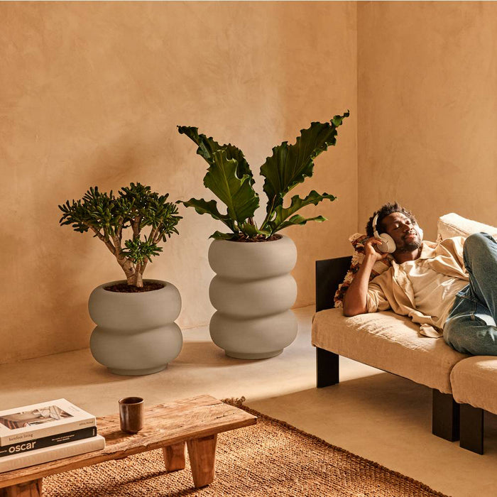 327620-x02-202501032021-A.jpg (9770334)