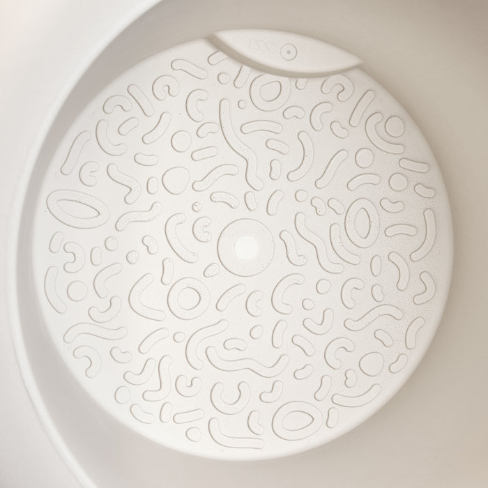 327619-x05-202501090121-C.jpg (9809061)