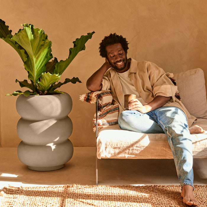 327620-x01-202501090121-A.jpg (9809065)