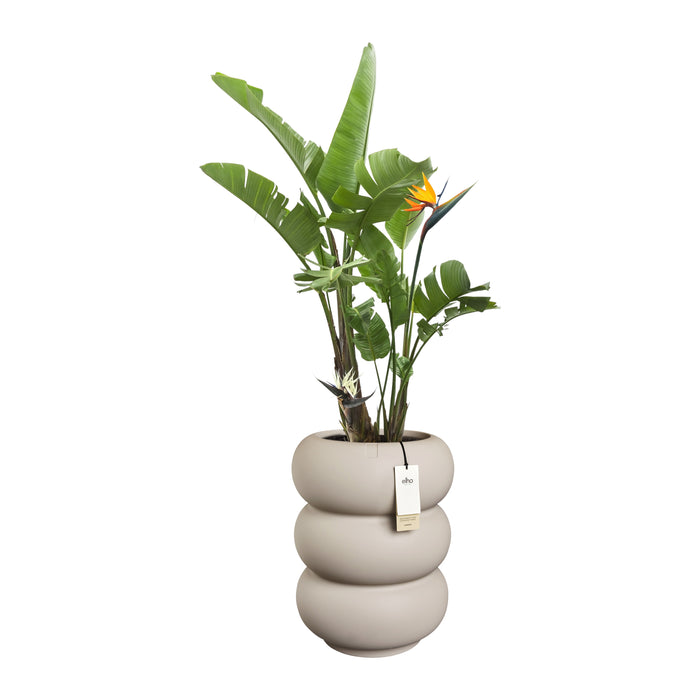 327620-x03-202501090122-C.jpg (9809067)