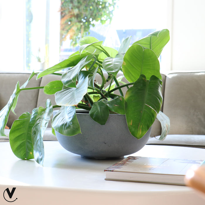 be035ef9-e914-41f3-b2bf-6e678d5113d7-sfeerbeeld.jpg (9809974)