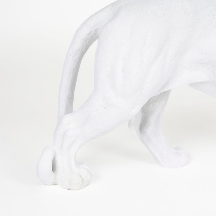 012e4766-81e4-4cad-bacc-21c07dbdbf87-afbeelding8.jpg (9829752)