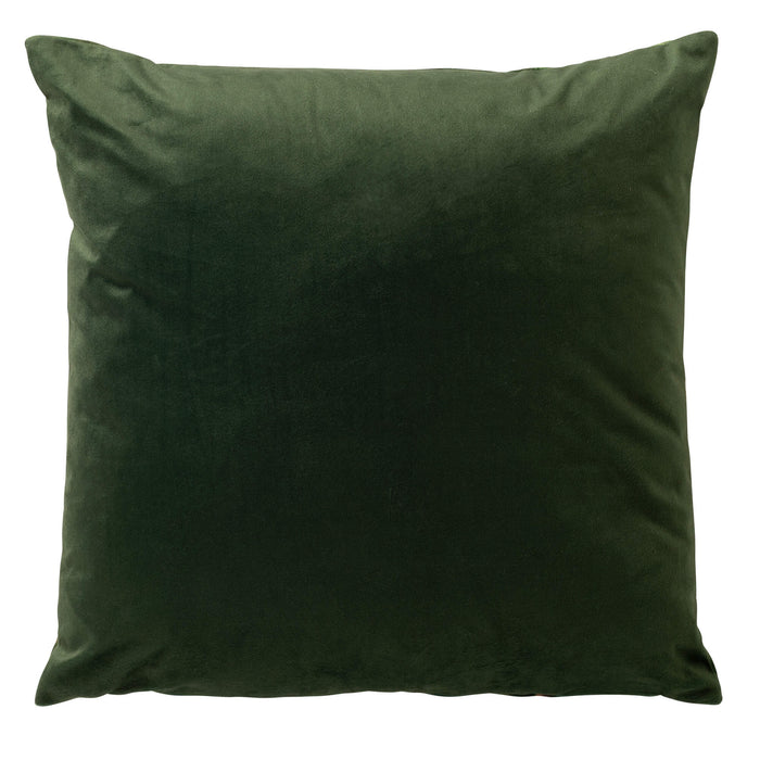 397ba6b1-78c4-4a77-80bb-f37ec8cc5386-afbeelding3.jpg (9872956)