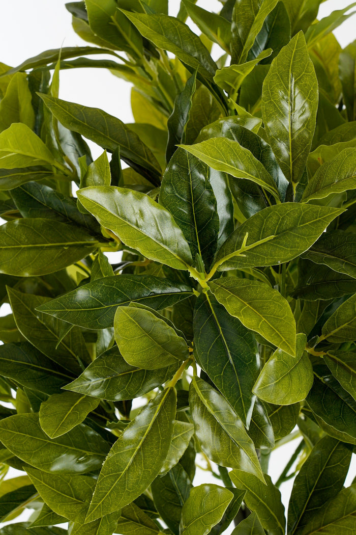 Mica Decorations Laurierboom Kunstplant - H120 x Ø40 cm - Groen
