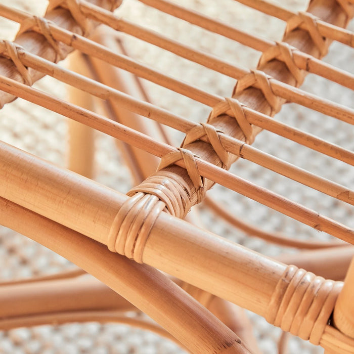 4d6070c8-a421-481d-aed7-85feb1bf079a-afbeelding3.jpg (9895113)