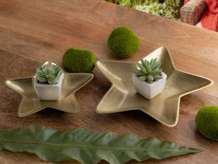 e851d718-a4a6-4b9d-8bf3-203209b2f786-afbeelding7.jpg (9906150)