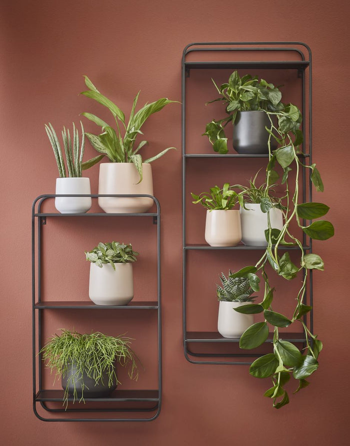 ea99784f-fd77-4894-a17b-b3c4a265e4fe-afbeelding5.jpg (9909243)