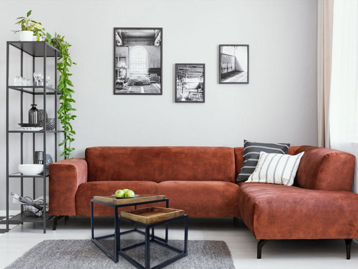 a1592156-bc10-4617-97d1-78fc103d803b-afbeelding7.jpg (9910539)