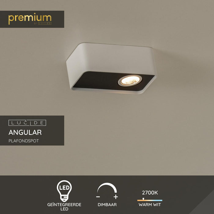 7d9f34db-9003-4d4f-a279-4ced92f421a6-sfeerbeeld.jpg (9921953)