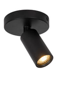 fdf85beb-8546-411b-a2a1-e78d20d42b3a-vrijstaandbeeld.jpg (9922270)