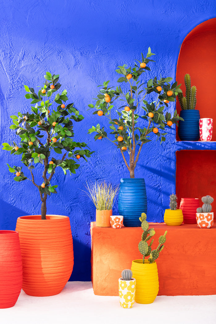 263c62ac-aa04-45a8-aad6-c4d1f32c8ccb-afbeelding3.jpg (9933898)