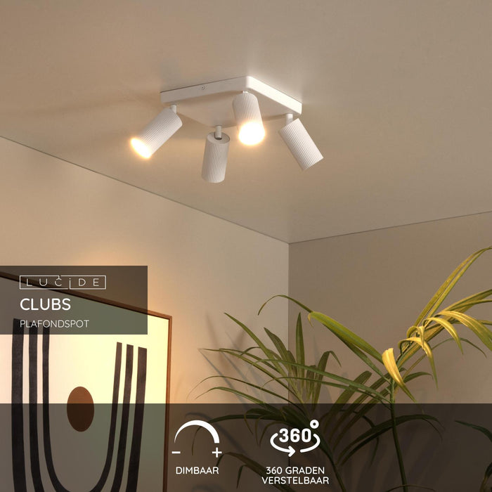 46ad4b32-b9c5-4ed7-af94-1934a3b8f835-sfeerbeeld.jpg (9948116)