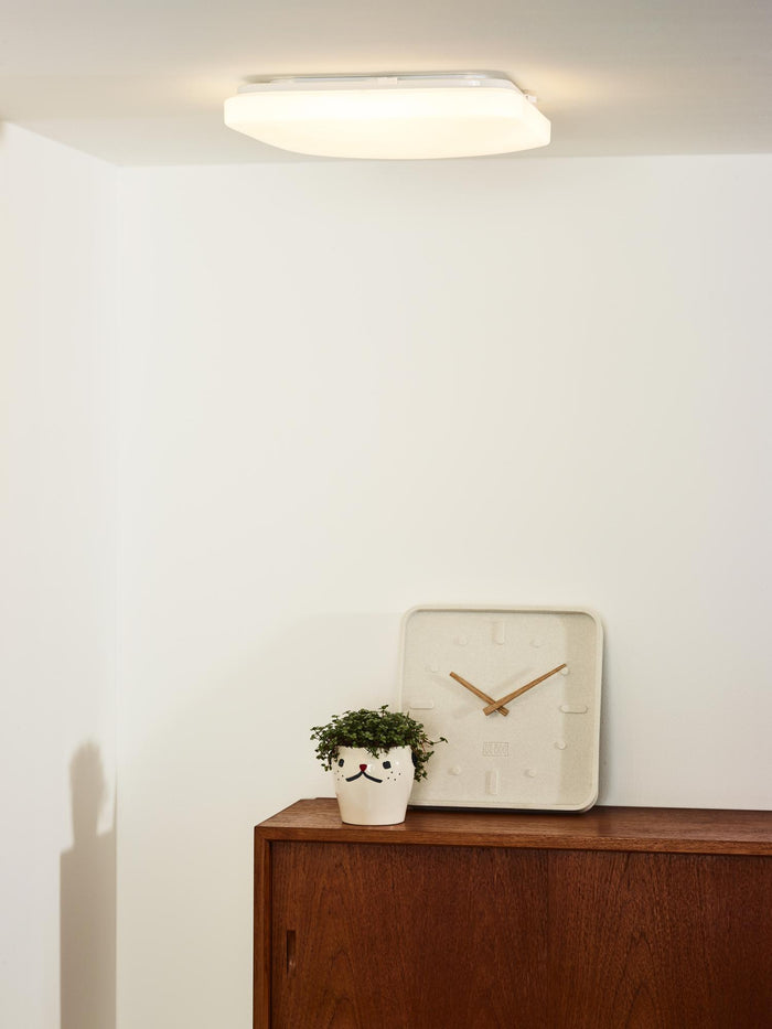 1de93dec-bd10-49c1-b917-1384ca92e55a-afbeelding4.jpg (9951230)