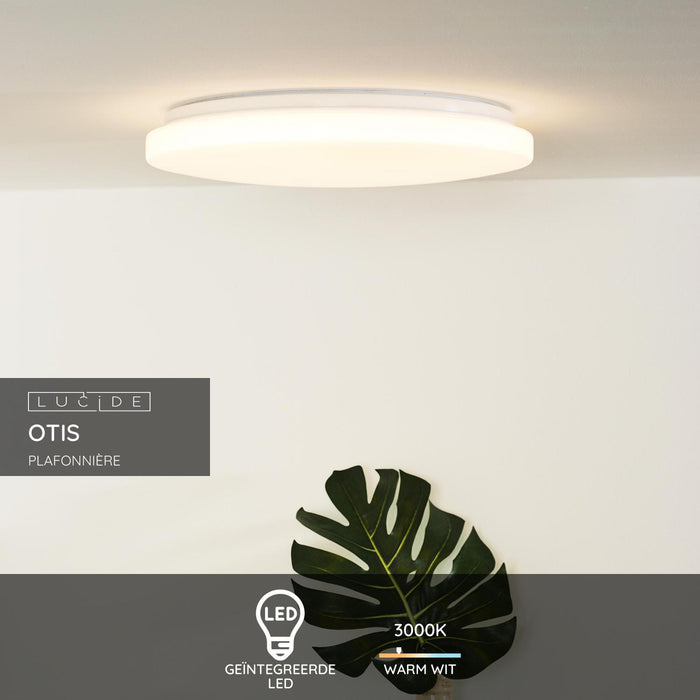 cedc0b45-27f3-43ff-83ff-837c07529ff1-sfeerbeeld.jpg (9951543)