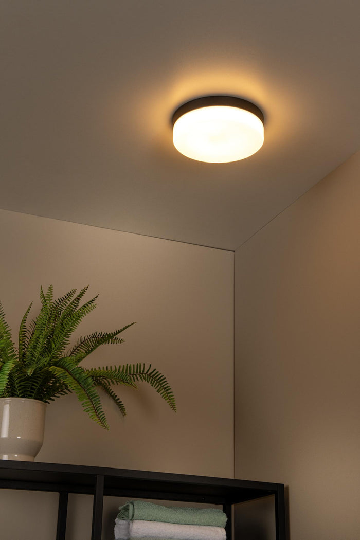 f3f5ee2a-e104-4a87-8414-baa642072c82-afbeelding4.jpg (9951852)