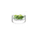 L.S.A. - Bar Culture Champagne Flute 330 ml Set van 2 Stuks