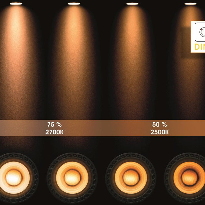 7d34f603-ab49-4dac-a64d-29223291244b-afbeelding5.jpg (9974702)