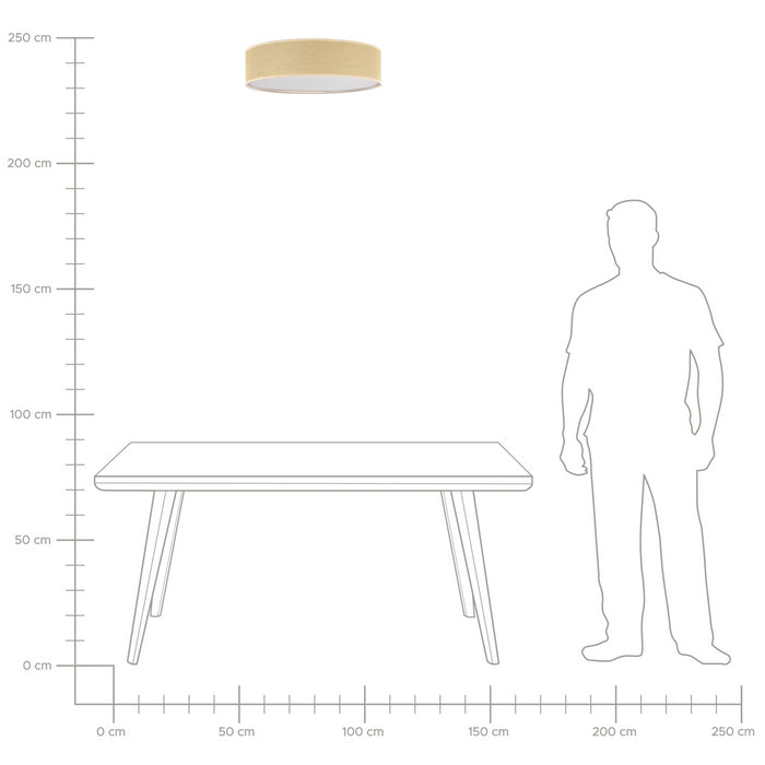 0681ea89-9189-4eed-98d7-7f5617be7064-afbeelding6.jpg (9984813)