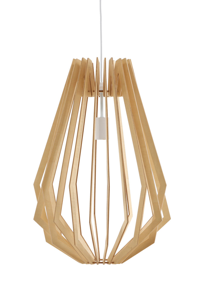 c4968ed5-aed1-4b0b-a544-2bd94208c2b6-afbeelding6.jpg (10017841) 