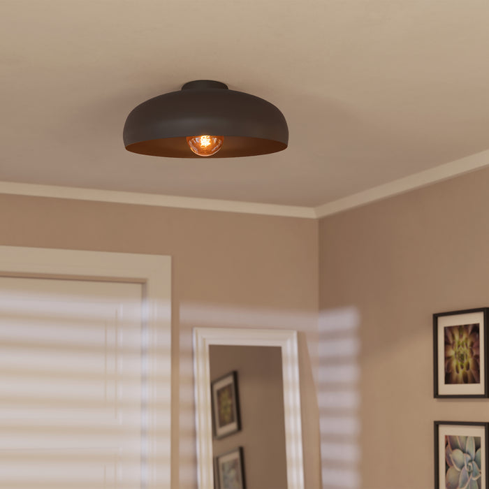 315181-x01-Bewerkt.jpg (10046319) 