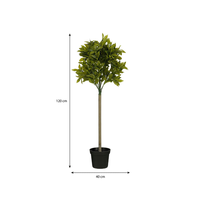 Mica Decorations Laurierboom Kunstplant - H120 x Ø40 cm - Groen