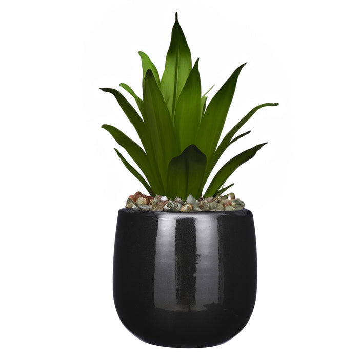 99488a47-900d-4424-b2f7-40bb16059aa4-sfeerbeeld.jpg (10175107) 