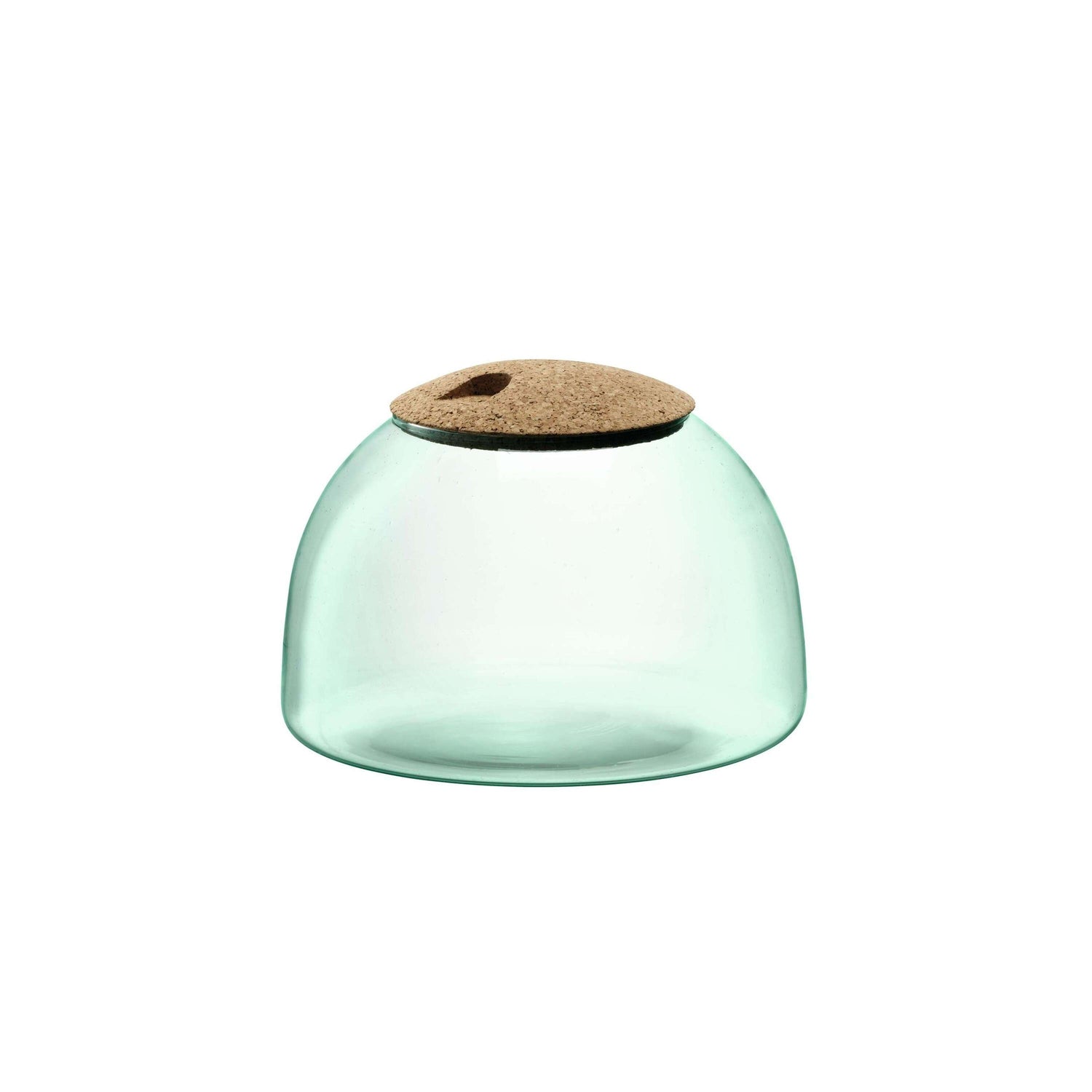 L.S.A. - Canopy Planten Terrarium 16,5cm