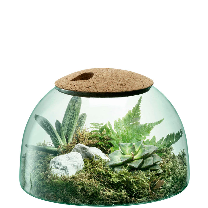 L.S.A. - Canopy Planten Terrarium 16,5cm