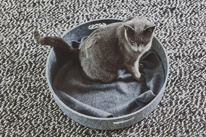 Unica kattenplaid graphite