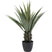 Kunstplanten agave 85cm Kare Design
