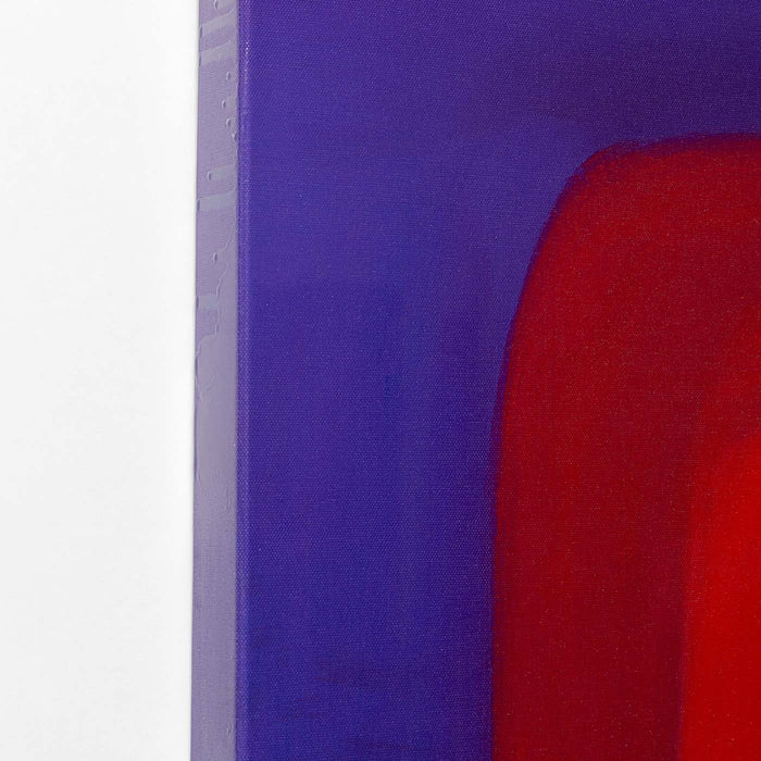 b6ac1087-646e-4c9f-a576-1c105d23e88f-afbeelding4.jpg (10194532) 