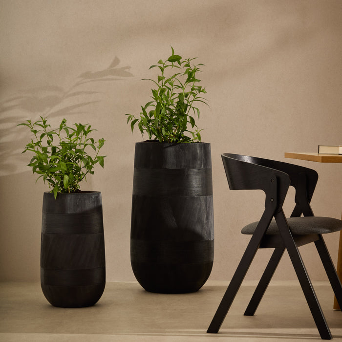 328580-x01-202503281722-A.jpg (10194690) 