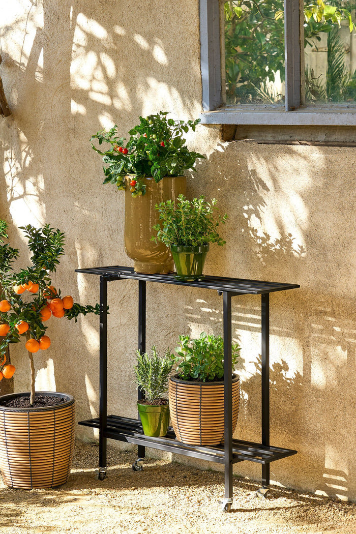 75ab2bc3-4ae5-44c3-b773-991adb73f756-sfeerbeeld.jpg (10197731) 