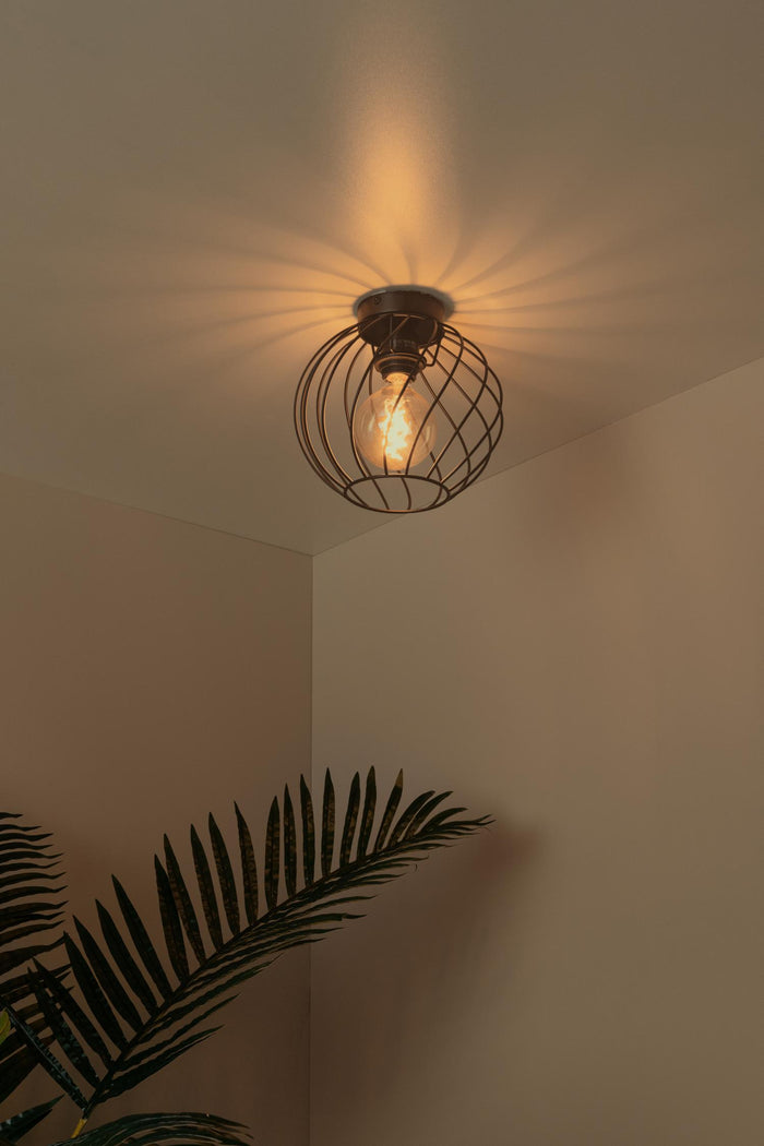 0663413e-cc8a-4225-aa7e-5b1704b534d8-afbeelding4.jpg (10219614) 