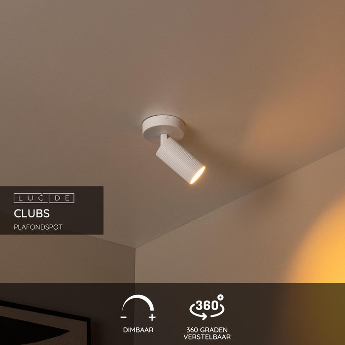 b8376faa-b9ff-4f95-a889-5c7d6882aedc-sfeerbeeld.jpg (10219682) 