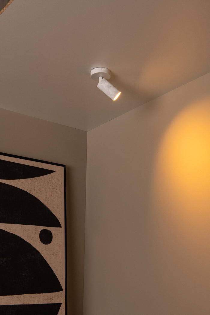 b8376faa-b9ff-4f95-a889-5c7d6882aedc-afbeelding4.jpg (10219683) 