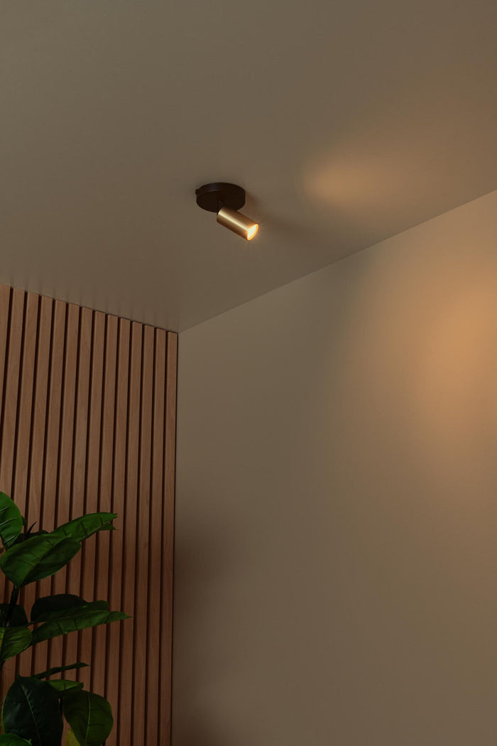 7a9b6a2a-a062-469f-9633-d6fb82d629b9-afbeelding4.jpg (10219797) 