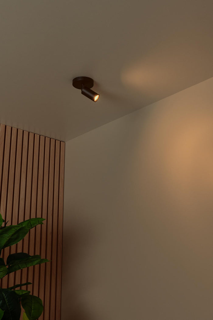 fdf85beb-8546-411b-a2a1-e78d20d42b3a-afbeelding4.jpg (10219817) 