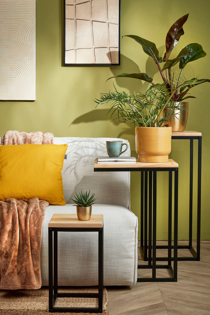 4a4bd8a4-7acb-4bac-a103-dbe540370b98-afbeelding7.jpg (10264337) 